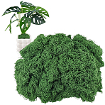Polyester Artificial Moss, Micro Scene Garden Decoration, Photography Props Accessories, Dark Green, 1mm, 200g/set(DIY-CN0003-92A)