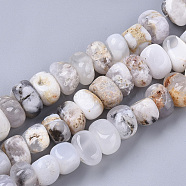 Natural White Agate Beads Strands, Tumbled Stone, Nuggets, 8~10x12~12x10~12mm, Hole: 1.2mm, about 42~46pcs/strand, 15.35~16.14 inch(39~41cm)(G-S364-032)