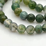 Natural Moss Agate Round Bead Strands, 6mm, Hole: 1mm, about 61pcs/strand, 15.7 inch(G-N0120-30-6mm)