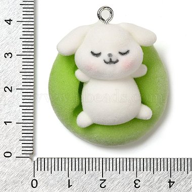 Flocking Resin Sleeping Pendants(RESI-D072-02D)-3