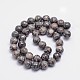 Round Natural Fossil Bead Strands(G-L419-49A)-2