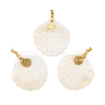 Natural Freshwater Shell Carved Pendants, Shell Shape Charms with 304 Stainless Steel Sea Animals Charms and Brass Pinch Bails, Golden, Mixed Shapes, Seashell Color, 37x37x1.5mm, Hole: 5x3.5mm(PALLOY-JF05825)