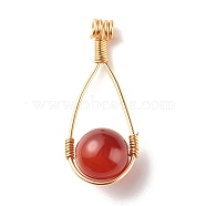 Natural Carnelian Pendants, with Copper Wire Wrapped, Round, 39x16x12mm, Hole: 2.1mm(PALLOY-JF01111-01)