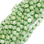 Grade AA Natural Prehnite Beads Strands, with Seed Beads, Faceted, Bicone, Double Terminated Point Prism Beads, 5~7x6mm, Hole: 0.8mm, about 48pcs/strand, 15.55 inch(39.5cm)(G-O201B-36)