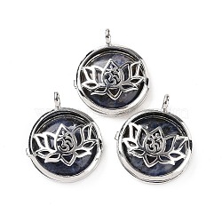 Natural Sodalite Locket Pendants, Flat Round Charms, with Platinum Plated Brass Lotus Findings, 31.5x27x9mm, Hole: 4.6mm(G-G982-01P-12)