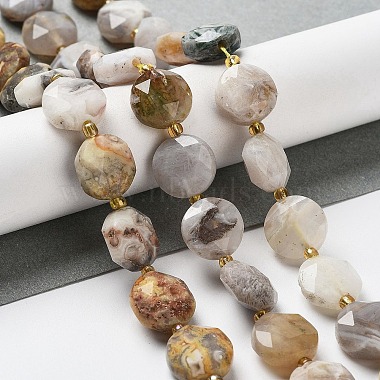 Natural Crazy Agate Beads Strands(G-NH0004-032)-2