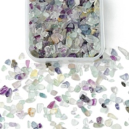 60G Natural Fluorite Chip Beads, No Hole/Undrilled, 2~12x2~10x1~3mm(G-YW0001-64)