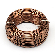 Anodized Aluminum Wire, Bendable Metal Craft Wire, Flexible Craft Wire, for Beading Jewelry Craft Making, Sienna, 17 Gauge, 1.2mm, 140m/500g(459.3 Feet/500g)(AW-S001-1.2mm-18)