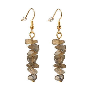 Natural Labradorite Chip Beaded Dangle Earrings, Gemstone Drop Earrings for Women, Brass Jewelry, Golden, 50~54x7~11.5x5~8mm, Pin: 0.7mm