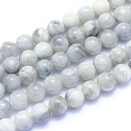 Natural Moonstone Beads Strands, Round, 8mm, Hole: 0.7mm, about 53pcs/strand, 15.75 inch(40cm)(G-I279-C01-8mm)