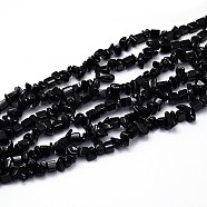 Natural Obsidian Beads Strands, Chips, 8~20x8~18mm, Hole: 1mm, about 31.5 inch(G-O049-C-35)