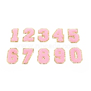 10Pcs 10 Style Computerized Embroidery Cloth Iron on/Sew on Patches, Costume Accessories, Appliques, Numbers 0~9, Pink, 54.5~55.5x26.5~40.5x3mm, 1pcs/style(DIY-WH0265-89)