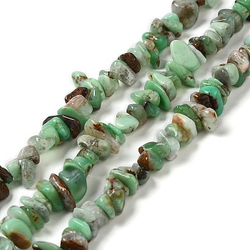 Natural Chrysoprase Beads Strands, Chip, 7~18x7~9.5x2~6.5mm, Hole: 0.9mm, 15.55~15.75 inch(39.5~40cm)