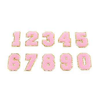 10Pcs 10 Style Computerized Embroidery Cloth Iron on/Sew on Patches, Costume Accessories, Appliques, Numbers 0~9, Pink, 54.5~55.5x26.5~40.5x3mm, 1pcs/style