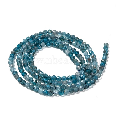 Natural Apatite Beads Strands(G-K185-02)-3