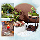 Natural Paua Shell Display Decorations(DJEW-WH0042-148A)-6