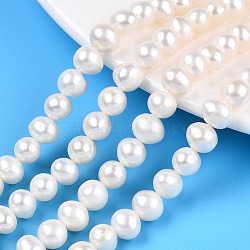 Natural Cultured Freshwater Pearl Beads Strands, Potato, Creamy White, 6.5~7.5mm, Hole: 0.6mm, about 57~58pcs/strand, 14.96~15.16 inch(38~38.5cm)(PEAR-N013-06R)