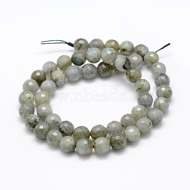 Chapelets de perles en labradorite naturelle (G-P322-28-8mm)-2